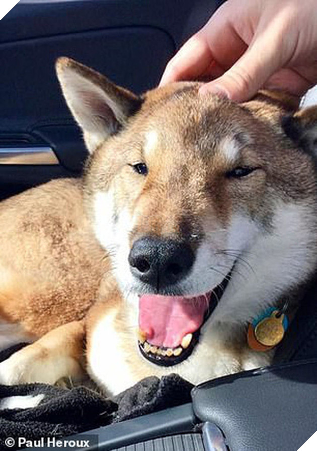 
Paul nói rằng Mura thực sự rất thích chuyến đi này, trông chú lúc nào cũng hạnh phúc và tận hưởng nó.