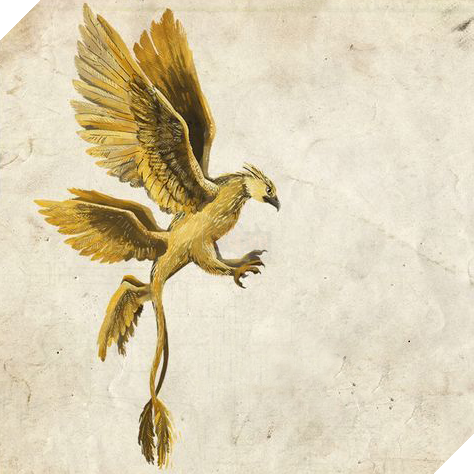 20 sinh vật huyền bí hiếm có khó tìm từng xuất hiện trong Fantastic Beasts And Where To Find Them (Phần 2) - Ảnh 1.