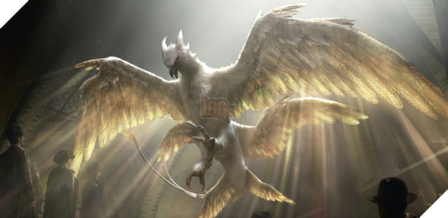 20 sinh vật huyền bí hiếm có khó tìm từng xuất hiện trong Fantastic Beasts And Where To Find Them (Phần 2) - Ảnh 2.