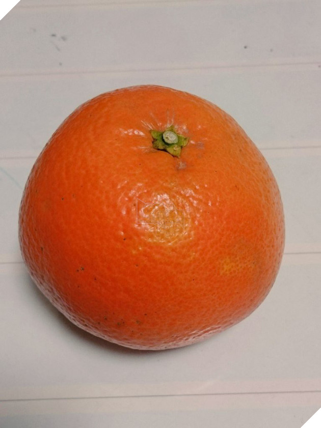 Tổng hợp những mẫu cosplay giá rẻ siêu buồn cười của thanh niên người Thái Lan 9