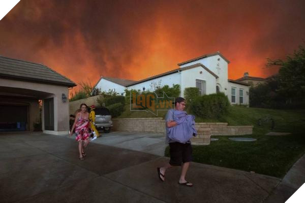 Động vật thảm thương sau khi được giải cứu khỏi đám cháy kinh hoàng ở California 3