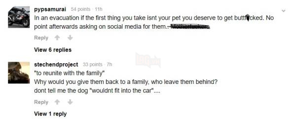 Động vật thảm thương sau khi được giải cứu khỏi đám cháy kinh hoàng ở California 14