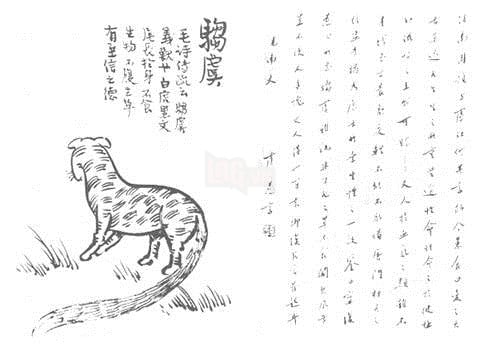 762ec4abha087576ea041690