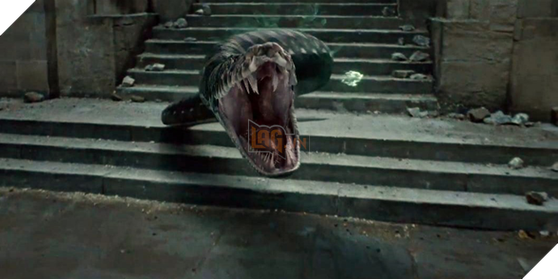  Spoiler Alert Những chi tiết quan trọng của Fantastic Beasts 2 11