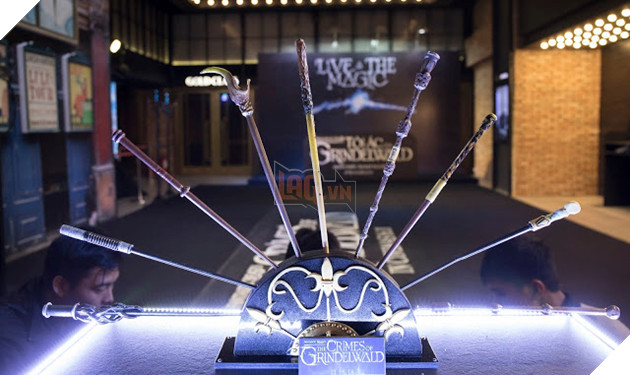 Khi các Potterhead tề tựu chờ đón Fantastic Beasts: The Crimes of Gindelwald 5