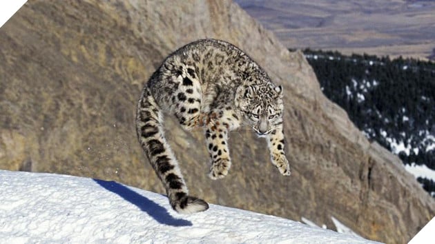 photo 1 1538105299933569900713