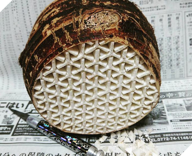 Xem màn tỉa rau củ siêu đẳng của cao thủ Nhật Bản khiến game thủ lác cả mắt - Ảnh 11.