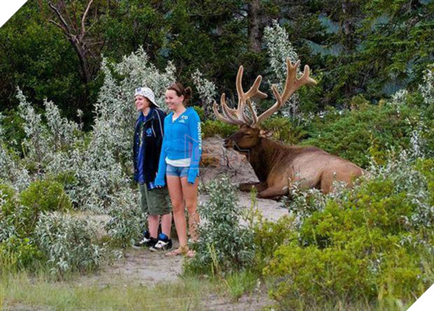 [Vui] Những cảnh tượng hú hồn khiến ai nhìn thấy cũng hoảng hốt vì sợ - Ảnh 3.