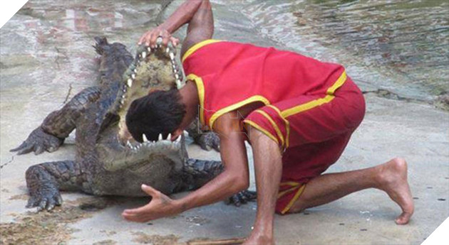 [Vui] Những cảnh tượng hú hồn khiến ai nhìn thấy cũng hoảng hốt vì sợ - Ảnh 4.