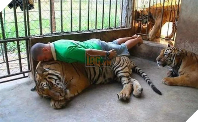 [Vui] Những cảnh tượng hú hồn khiến ai nhìn thấy cũng hoảng hốt vì sợ - Ảnh 9.