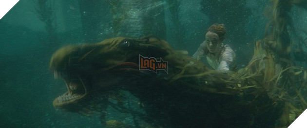 Những chi tiết thú vị ẩn mình trong The Crimes of Grindelwald Phần 1  11