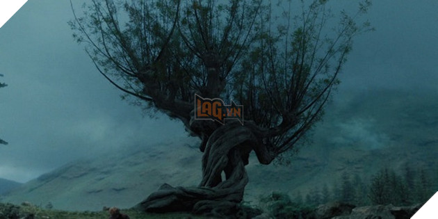 Những chi tiết thú vị ẩn mình trong The Crimes of Grindelwald Phần 1  3