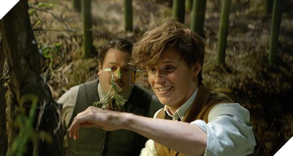 fantastic beasts the crimes of grindelwald chinese 4