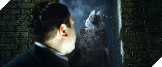 12 sinh vật huyền bí hiếm có khó tìm xuất hiện trong Fantastic Beasts: The Crimes of Grindelwald - Ảnh 7.