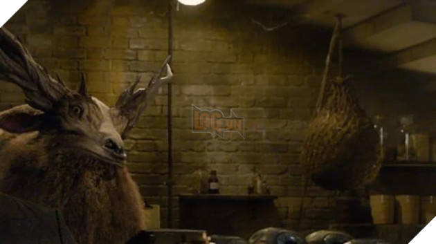 12 sinh vật huyền bí hiếm có khó tìm xuất hiện trong Fantastic Beasts: The Crimes of Grindelwald - Ảnh 9.