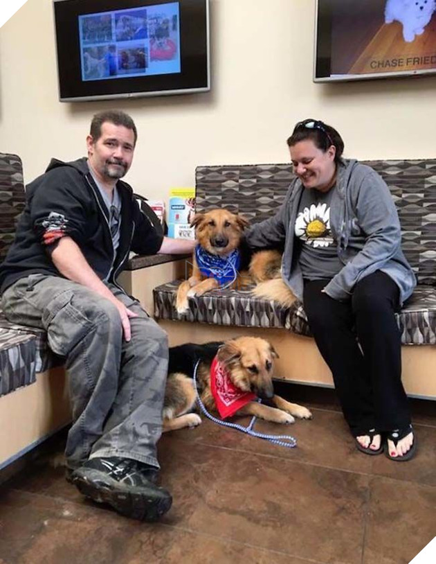 Câu chuyện cảm động của đôi bạn chó quyết không bao giờ rời xa nhau và 1 bức ảnh đã thay đổi tất cả