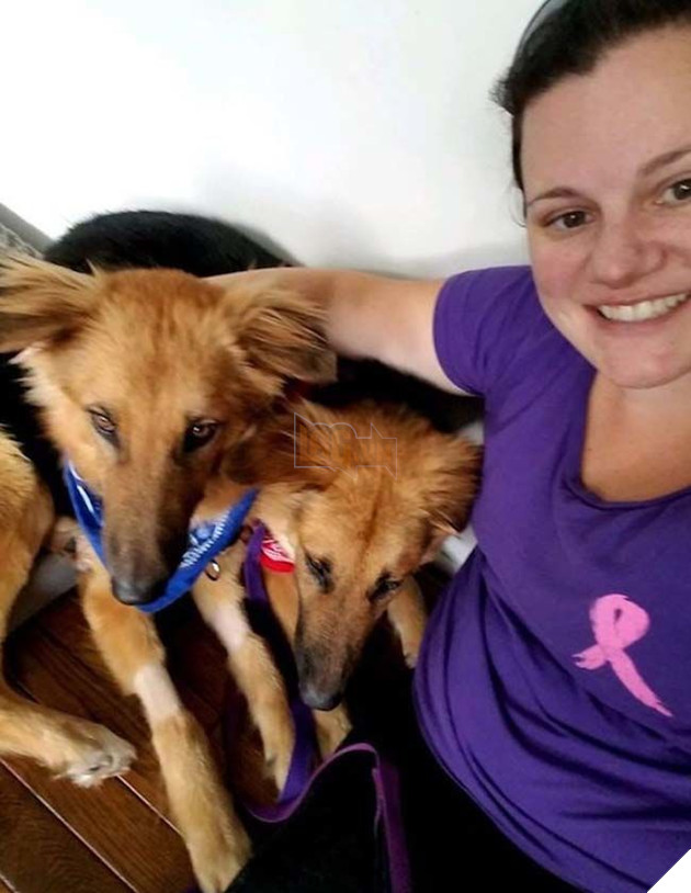 Câu chuyện cảm động của đôi bạn chó quyết không bao giờ rời xa nhau và 1 bức ảnh đã thay đổi tất cả