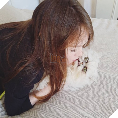 Chú mèo đốn tim triệu người bởi vẻ ngoài xấu lạ - Ảnh 12.