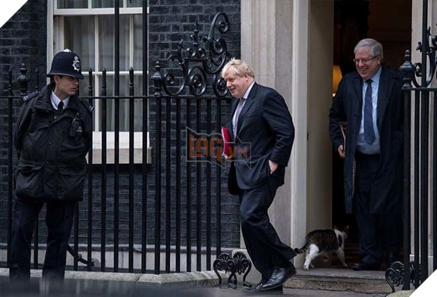 Hoàng thượng mèo “lầy lội” ở lì trong dinh thủ tướng Anh bất chấp ai lên nắm quyền