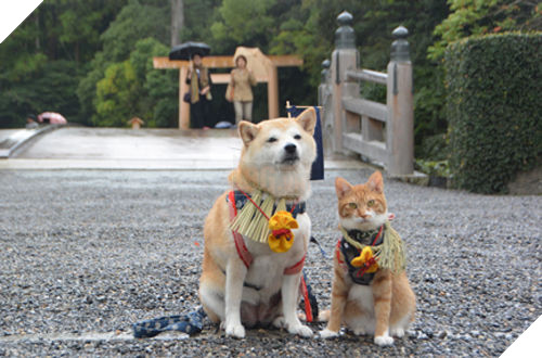 
Trang phục cũng phải theo đôi theo cặp​.