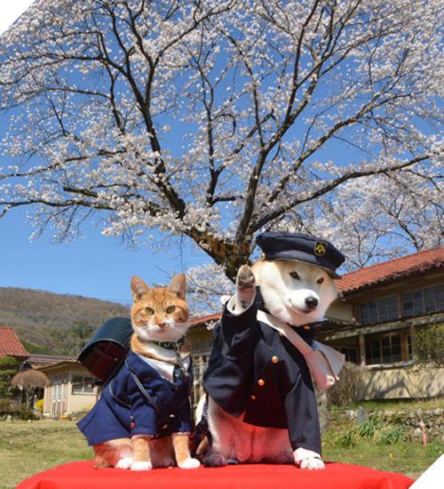 
Hóa trang thành cặp đôi học sinh chuẩn bị đến trường​.