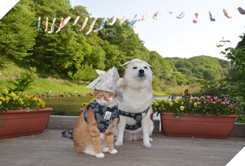 
Cùng nhau tận hưởng không khí lễ hội.​