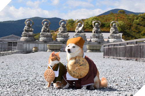 
Mặc đồ cổ trang tạo dáng trước những bức tượng ở đền cổ.​