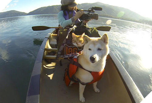 
Đôi bạn yên lặng ngắm cảnh trên sông khi đi thuyền.​