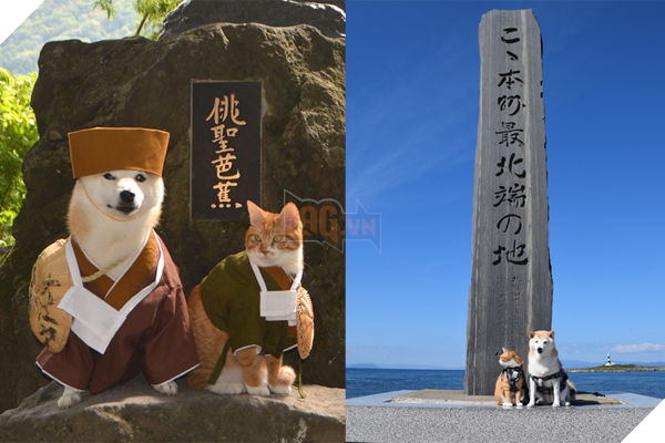 
Đôi bạn chó mèo ngộ nghĩnh chiếm được cảm tình của đông đảo cư dân mạng. Những bức ảnh của cả hai được cập nhật thường xuyên trên blog riêng.