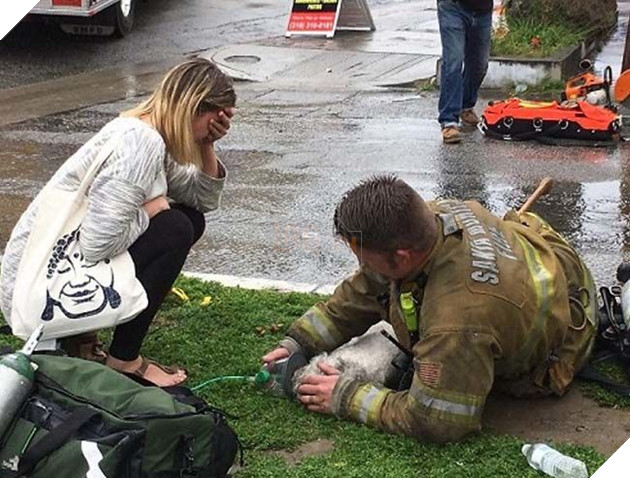 
Cô chủ của Nalu dõi theo bên cạnh và lo lắng đến bật khóc.​