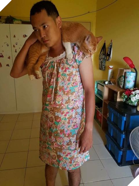 Vì mèo không thích đàn ông, “Thiếu nữ váy hoa” bất đắc dĩ ra đời 4