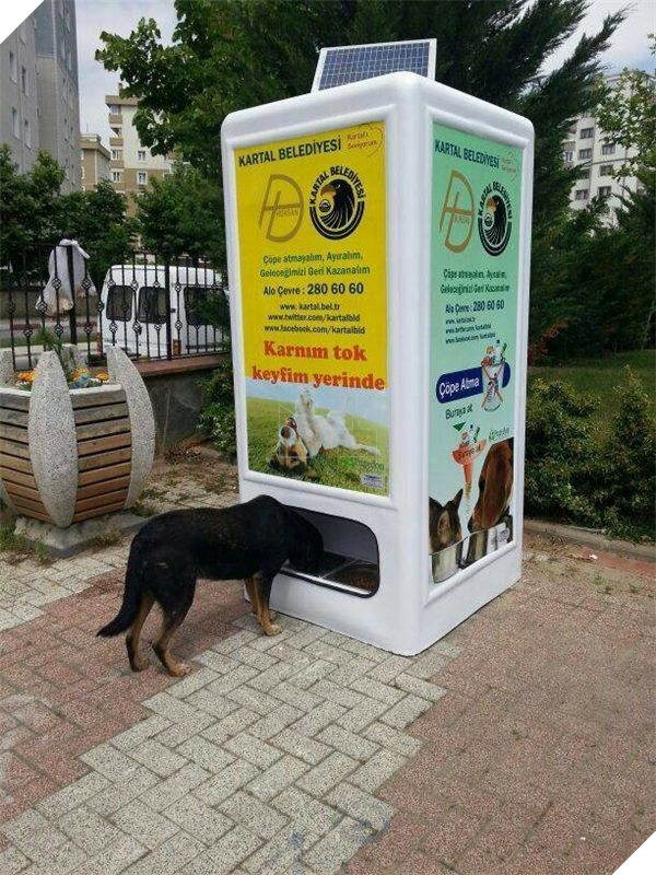 
Còn ở một số khu vực trung tâm có đặt những chiếc máy để khi người dân bỏ rác vào, thức ăn cho chó mèo sẽ chạy ra