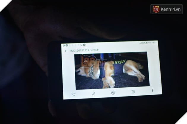 Cộng đồng xót xa khi chú chó mù của anh đánh giày câm bỗng mất tích suốt nhiều ngày, nghi bị trộm bắt đi - Ảnh 3.