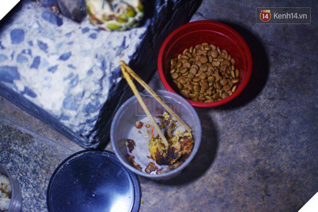 Cộng đồng xót xa khi chú chó mù của anh đánh giày câm bỗng mất tích suốt nhiều ngày, nghi bị trộm bắt đi - Ảnh 5.