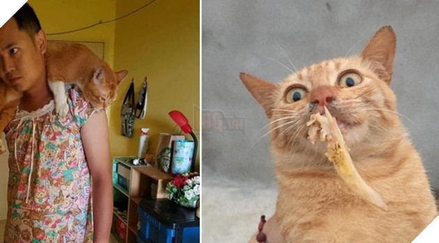 Vì mèo không thích đàn ông, “Thiếu nữ váy hoa” bất đắc dĩ ra đời