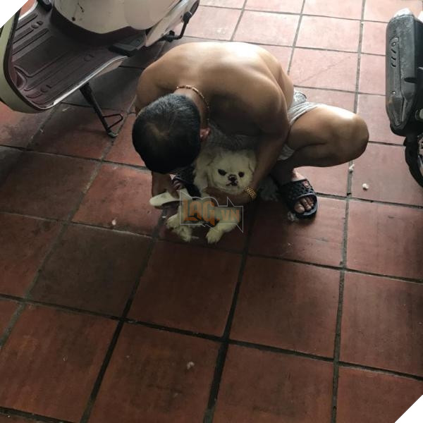 Thanh niên khiến CĐM cười sái quai hàm với bức hình bố mẹ chụp chung với chó cưng như “con đẻ”