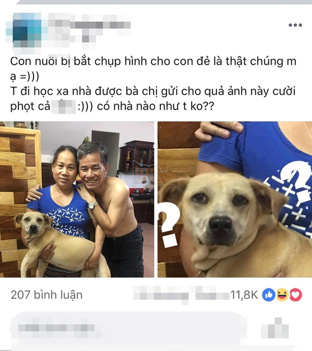 
Bài viết thu hút sự quan tâm từ cư dân mạng - Ảnh: Chụp màn hình