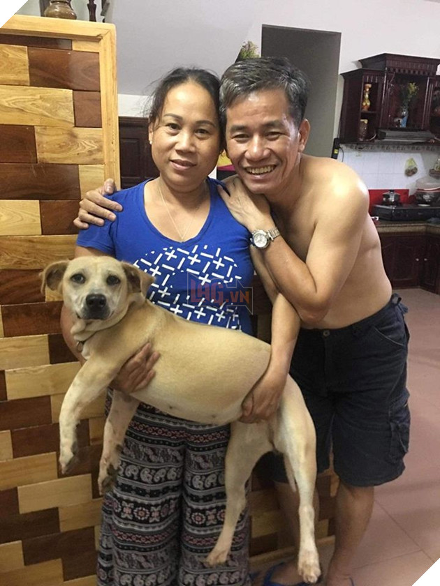 
Boss chó đang chiếm hết tình thương của các bố mẹ rồi đấy - Ảnh: Internet