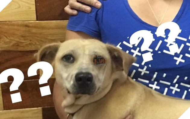 
"Lêu lêu cho bạn ra rìa nhá" - Ảnh: Internet