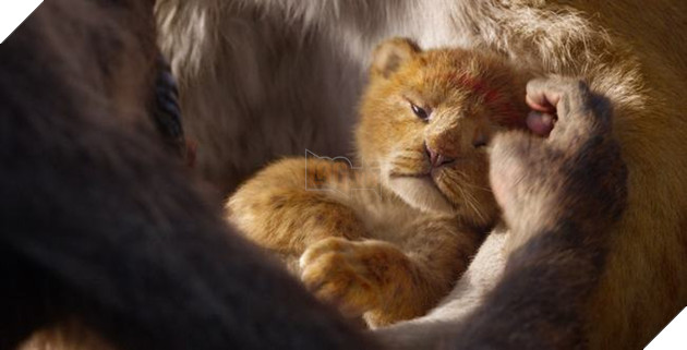 Chỉ mới là Teaser Trailer, Lion King bản live-action đã thiết lập kỉ lục mới