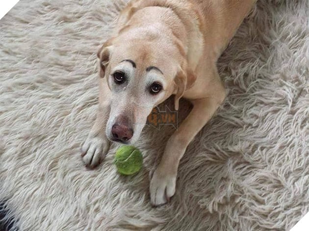 
Em nào có tội tình gì, em "ngây thơ vô số tội" cơ mà.