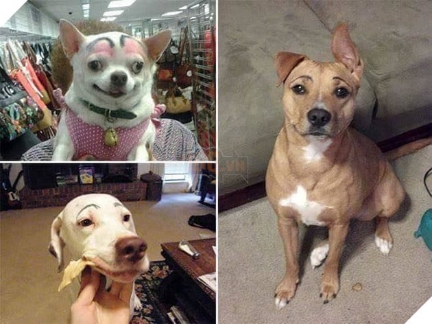 Khi Sen tập kẻ chân mày nhưng không thể tìm ra người mẫu và đây là kết quả