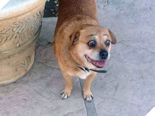 
Ở xa xa có ai kia đang nhìn mình kia kìa, chắc do mình mới vẽ lông mày đẹp quá đó mà.