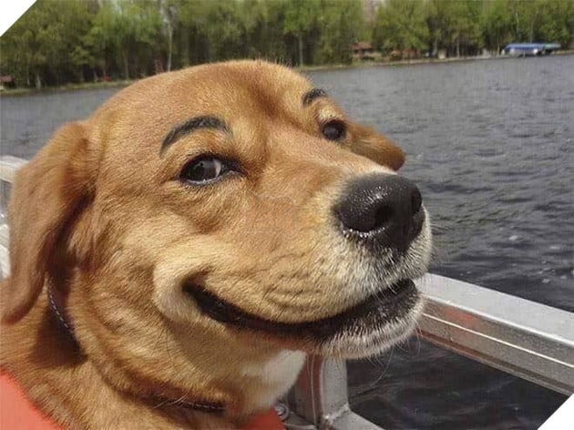 
Đôi mắt này đã đủ để cướp mất tâm hồn của anh chưa?


Lại đây em "thơm" cái nào.