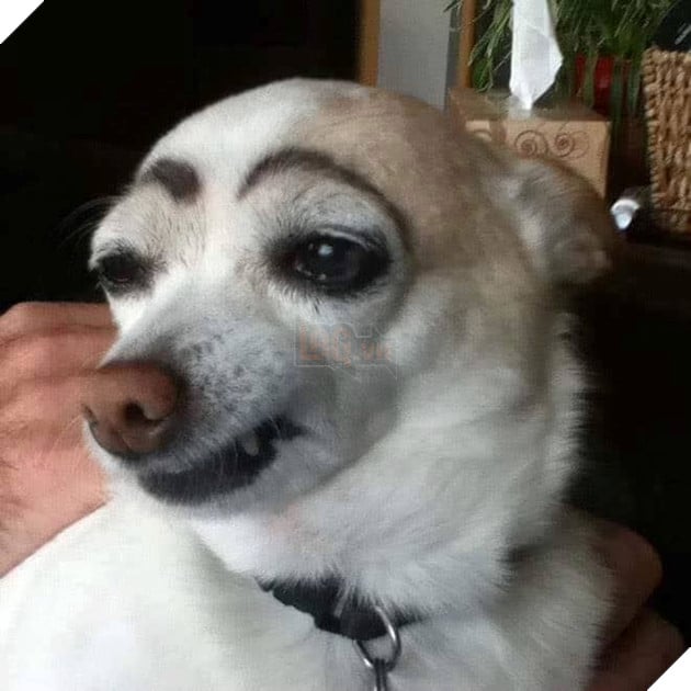 
Đôi mắt này đã đủ để cướp mất tâm hồn của anh chưa?


Lại đây em "thơm" cái nào.