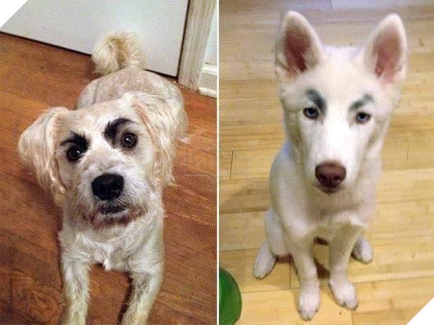 
Vì em quá gầy nên hãy cho em một cặp chân mày thật dày.