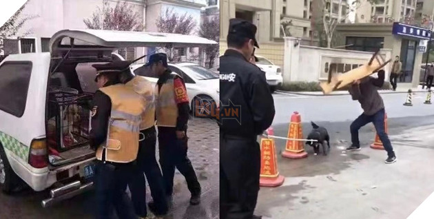 
Hình ảnh người đàn ông cầm chiếc ghế dài đánh vào người chú chó tội nghiệp khiến không ít người bất bình 