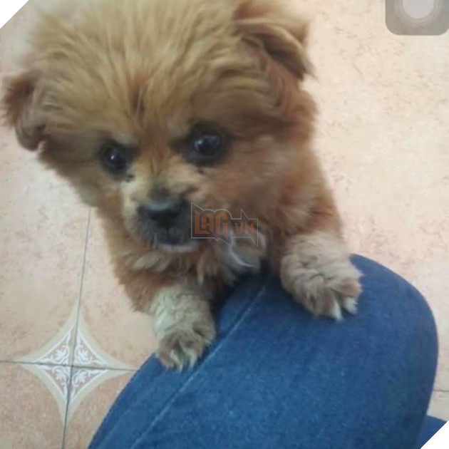 
Các ông có nhận ra sự khác biệt gì hay chưa?