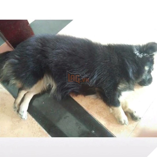 
Và cuộc đời ai cũng có những cú lừa ngoạn mục như thế đấy.