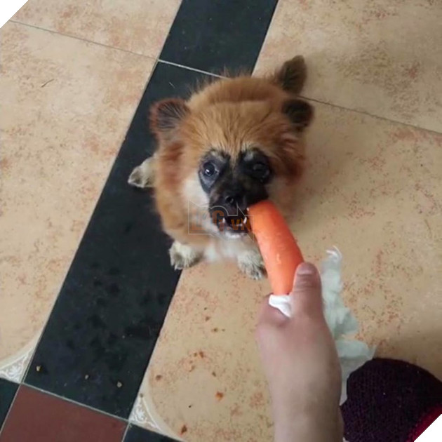 
Chuyện gì đã xảy ra với đôi mắt ngây thơ ngày nào?